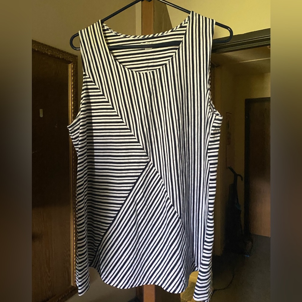 Kim Rogers Blue/White Sleeveless Top XL